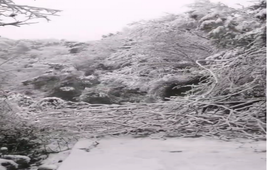 战暴雪、保供电！MILAN米兰体育·（中国）官方网站鸟儿巢MILAN米兰体育·（中国）官方网站应对极端天气紧急抢修失电故障