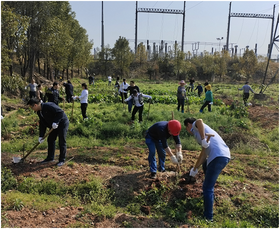 水电MILAN米兰体育·（中国）官方网站开展义务植树活动