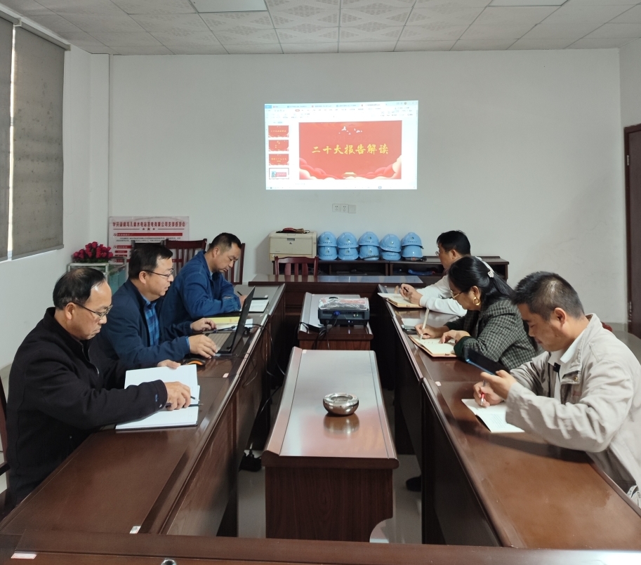 鸟儿巢MILAN米兰体育·（中国）官方网站党支部开展“一课一片一实践”主题党日活动