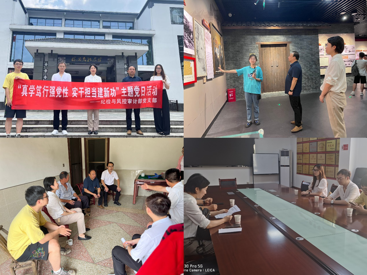 MILAN米兰体育·（中国）官方网站纪检与风控审计部党支部开展“真学笃行强党性 实干担当建新功”主题党日活动